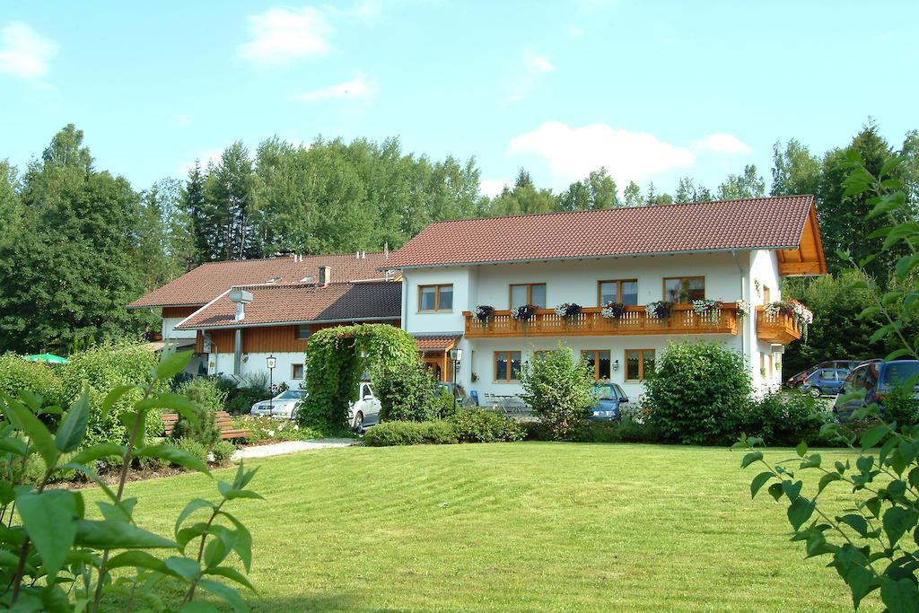 Gasthaus Pension Sternknockel Bodenmais Exterior photo